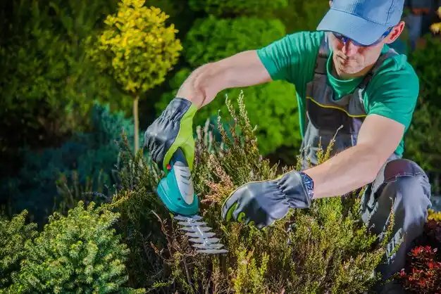 landscaping services Lake Orion